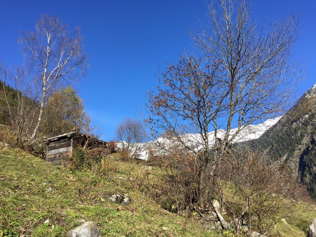 Appart Kalsberger Kaunertal Camera foto